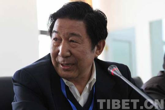 共论藏文化保护：海内外专家学者思想碰撞在拉萨